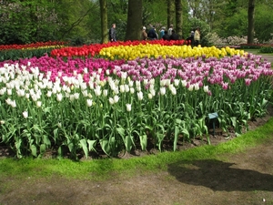 Keukenhof 23-04-2009 064