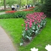 Keukenhof 23-04-2009 067