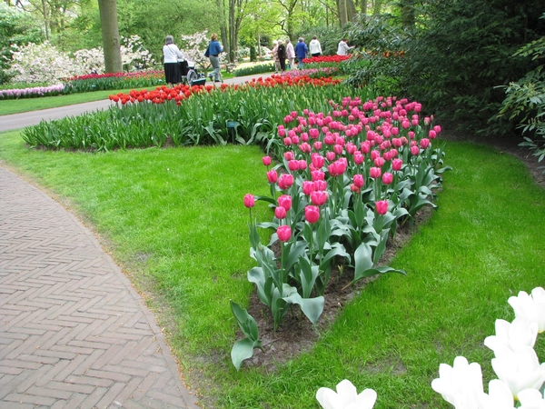 Keukenhof 23-04-2009 067