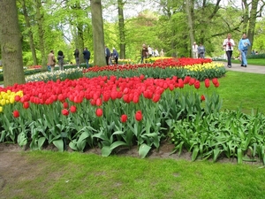 Keukenhof 23-04-2009 068