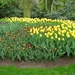 Keukenhof 23-04-2009 072