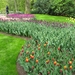 Keukenhof 23-04-2009 073