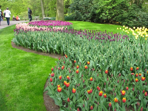 Keukenhof 23-04-2009 073