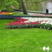 Keukenhof 23-04-2009 077