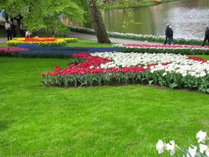 Keukenhof 23-04-2009 077