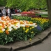 Keukenhof 23-04-2009 078