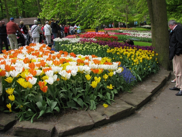 Keukenhof 23-04-2009 078