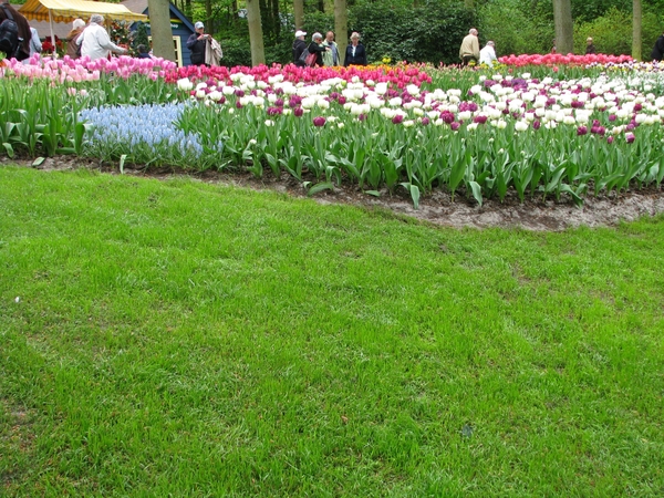 Keukenhof 23-04-2009 082