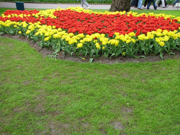 Keukenhof 23-04-2009 083