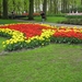 Keukenhof 23-04-2009 084