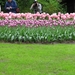 Keukenhof 23-04-2009 088