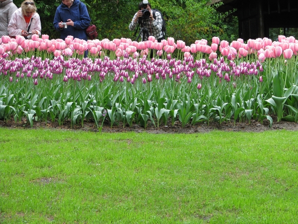 Keukenhof 23-04-2009 088