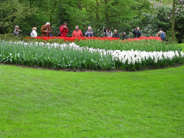 Keukenhof 23-04-2009 090