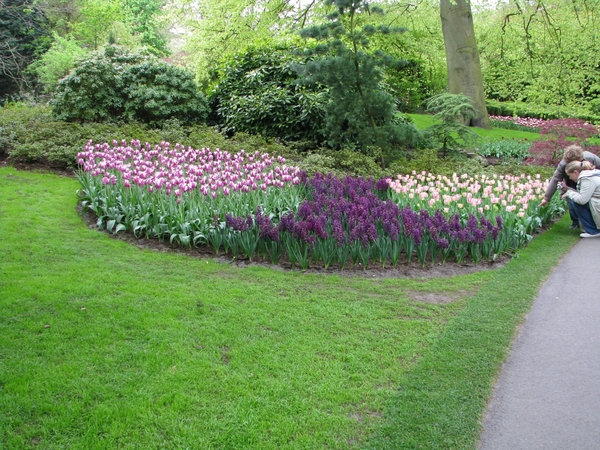 Keukenhof 23-04-2009 091