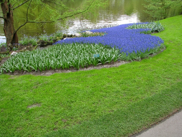 Keukenhof 23-04-2009 093