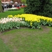 Keukenhof 23-04-2009 101