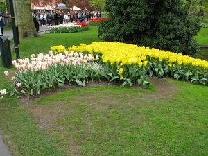 Keukenhof 23-04-2009 101