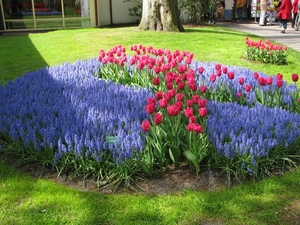 Keukenhof 23-04-2009 107