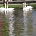 Keukenhof 23-04-2009 120