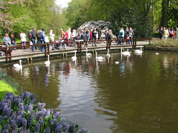 Keukenhof 23-04-2009 131