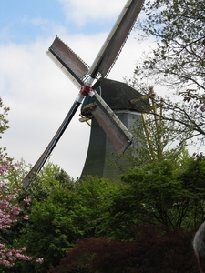 Keukenhof 23-04-2009 401