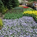 Keukenhof 23-04-2009 405