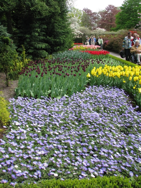 Keukenhof 23-04-2009 405