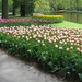 Keukenhof 23-04-2009 144