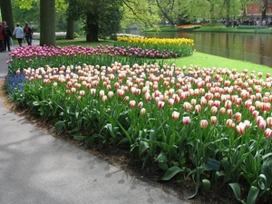 Keukenhof 23-04-2009 144