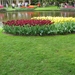 Keukenhof 23-04-2009 145