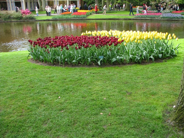 Keukenhof 23-04-2009 145