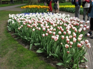 Keukenhof 23-04-2009 152