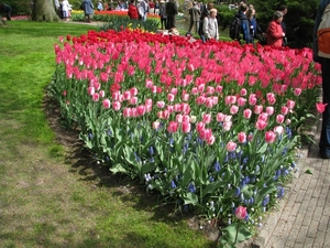 Keukenhof 23-04-2009 154