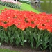 Keukenhof 23-04-2009 164