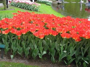 Keukenhof 23-04-2009 164