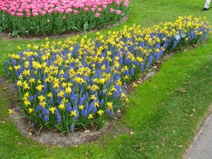 Keukenhof 23-04-2009 167