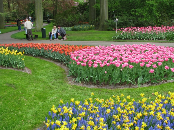 Keukenhof 23-04-2009 168