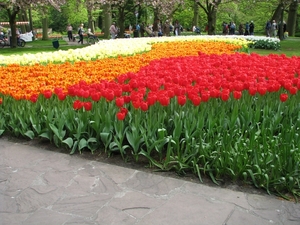 Keukenhof 23-04-2009 176