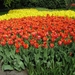 Keukenhof 23-04-2009 177