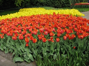 Keukenhof 23-04-2009 177