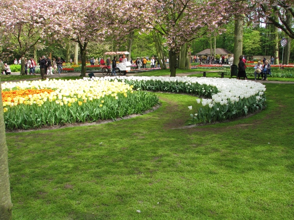 Keukenhof 23-04-2009 182