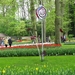 Keukenhof 23-04-2009 183