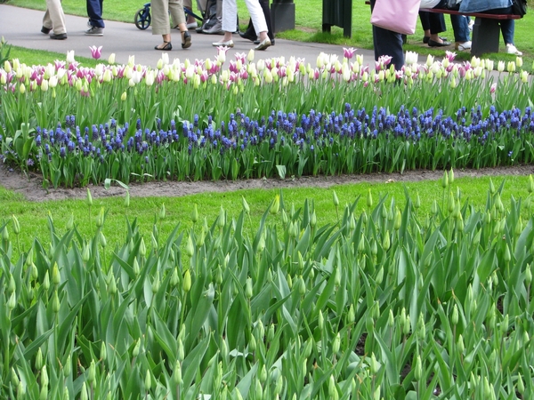 Keukenhof 23-04-2009 184