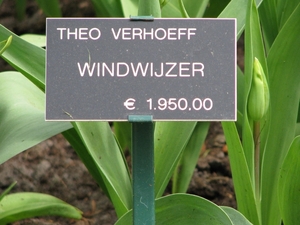 Keukenhof 23-04-2009 185