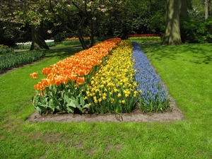 Keukenhof 23-04-2009 195