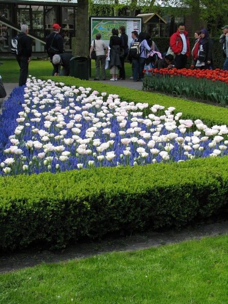 Keukenhof 23-04-2009 423