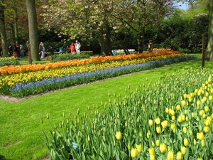 Keukenhof 23-04-2009 199