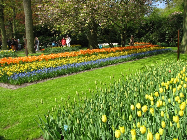 Keukenhof 23-04-2009 199