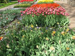 Keukenhof 23-04-2009 202