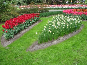 Keukenhof 23-04-2009 209